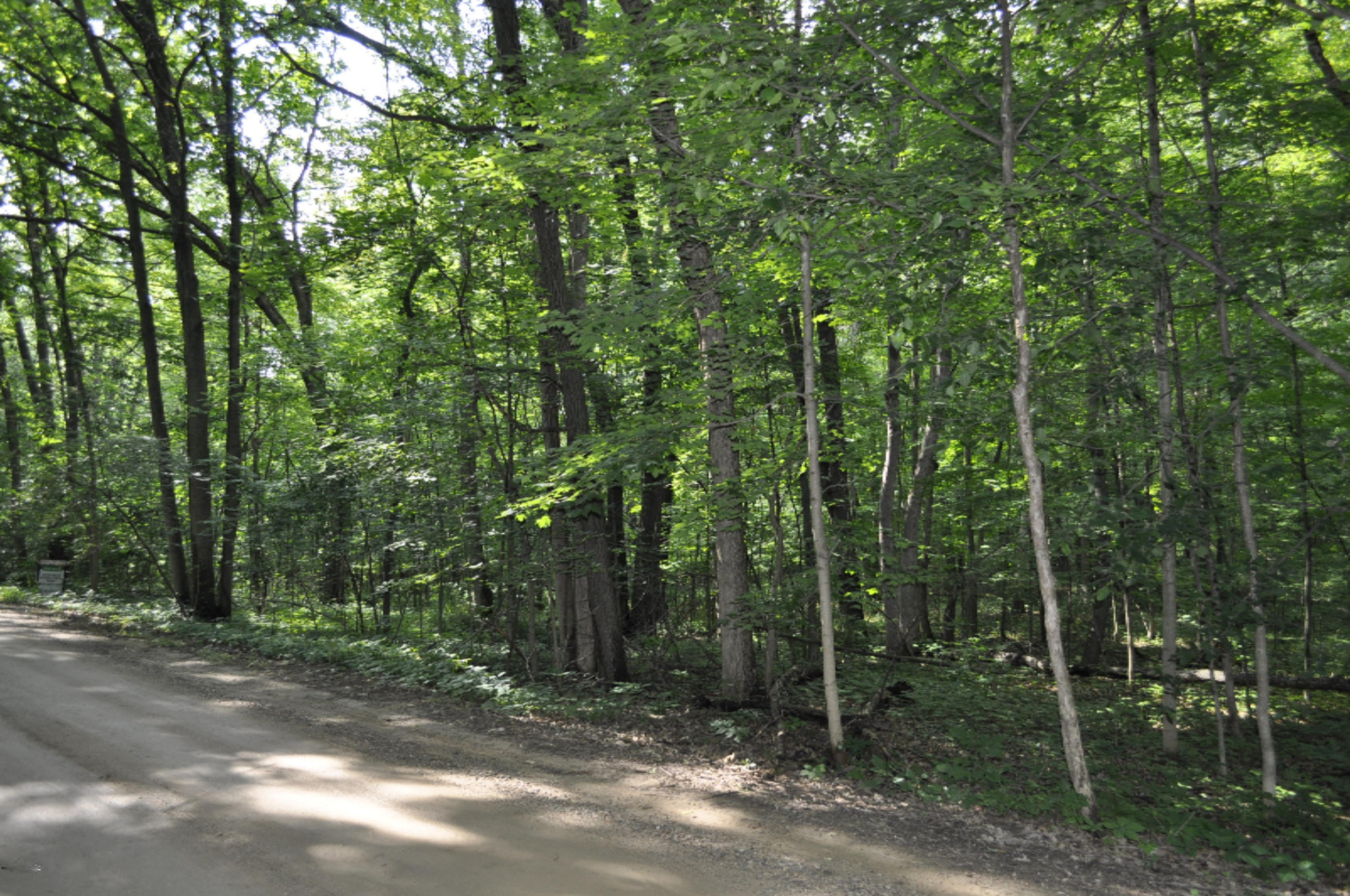 5 Palmer Road Belding, MI 48809 - Photo 2 of 3 _DSC0002