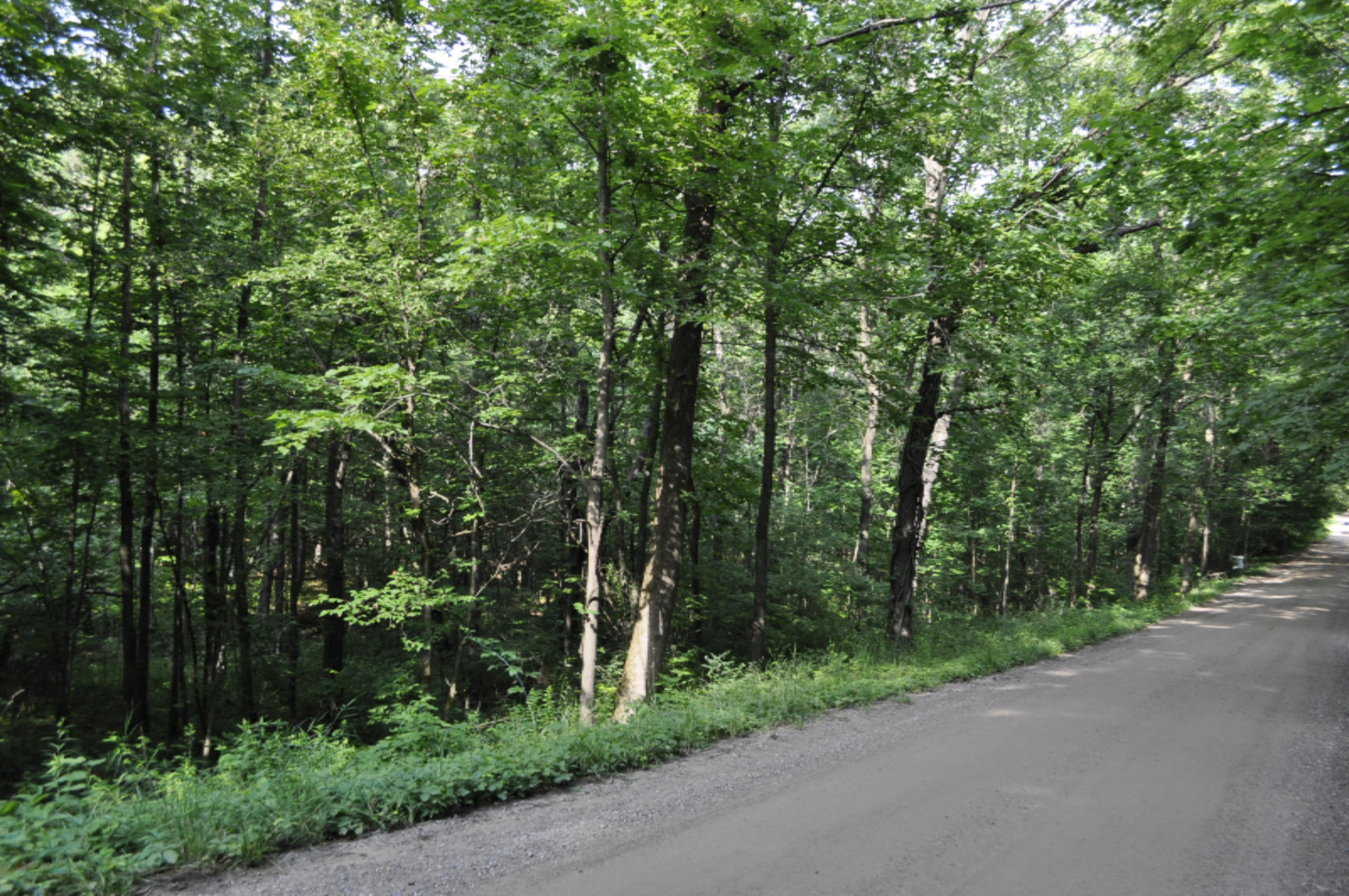 5 Palmer Road Belding, MI 48809 - Photo 3 of 3 _DSC0003