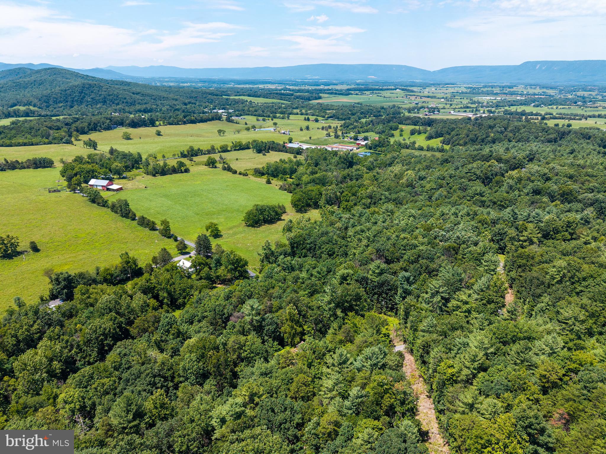 1247 Somers Road Luray, VA 22835 - Photo 62 of 67 an aerial view of green landscape with trees houses and lake view
