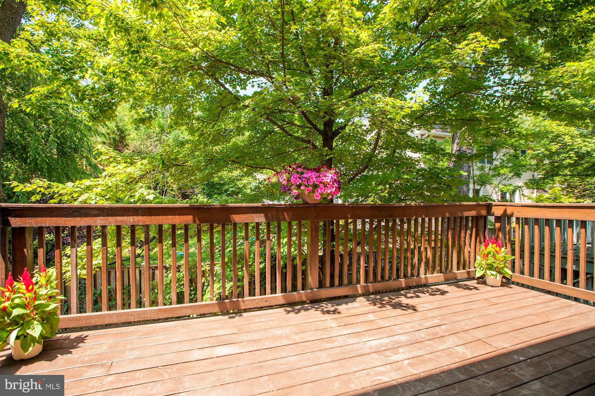 1818 Locust Grove Road Silver Spring, MD 20910 - Photo 27 of 40