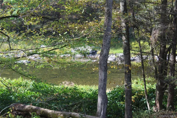 $675,000 | Peakville Road, Hancock, NY 13783