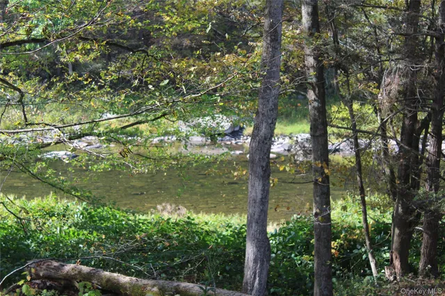 $675,000 | Peakville Road, Hancock, NY 13783