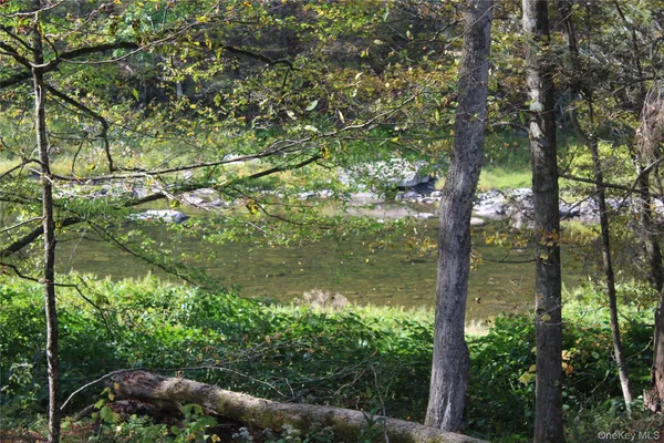 $675,000 | Peakville Road, Hancock, NY 13783