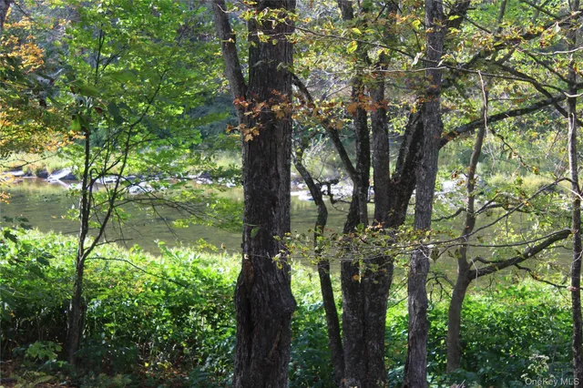 $675,000 | Peakville Road, Hancock, NY 13783