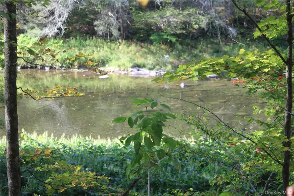 $675,000 | Peakville Road, Hancock, NY 13783