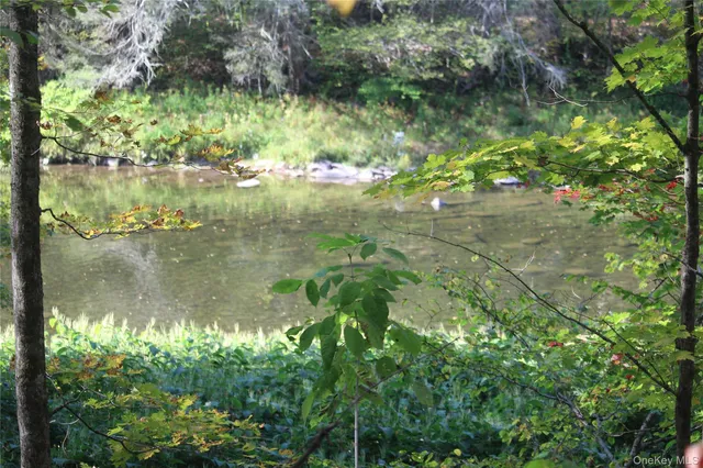 $675,000 | Peakville Road, Hancock, NY 13783