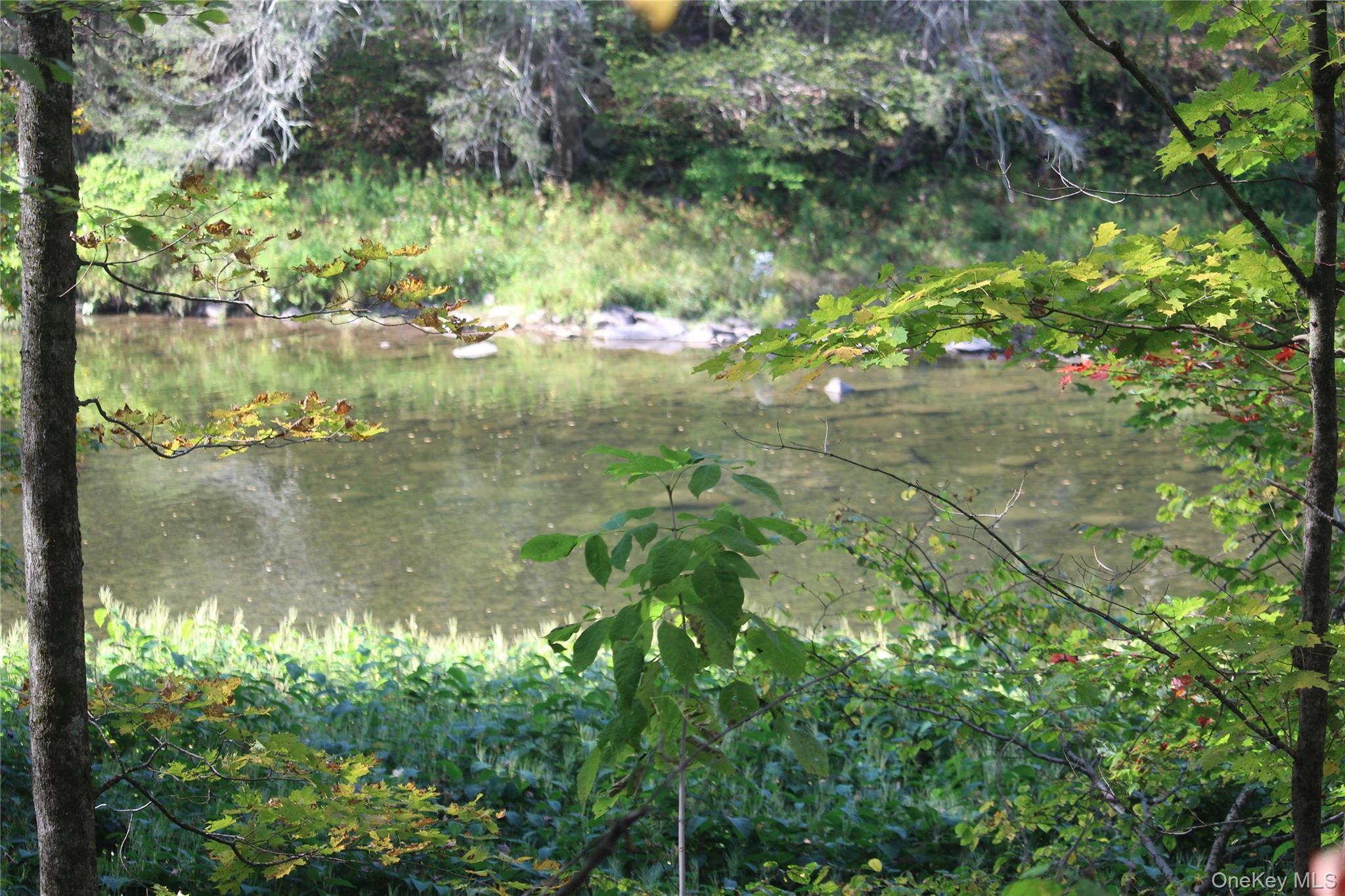 Peakville Road Hancock, NY 13783 - Photo 13 of 25