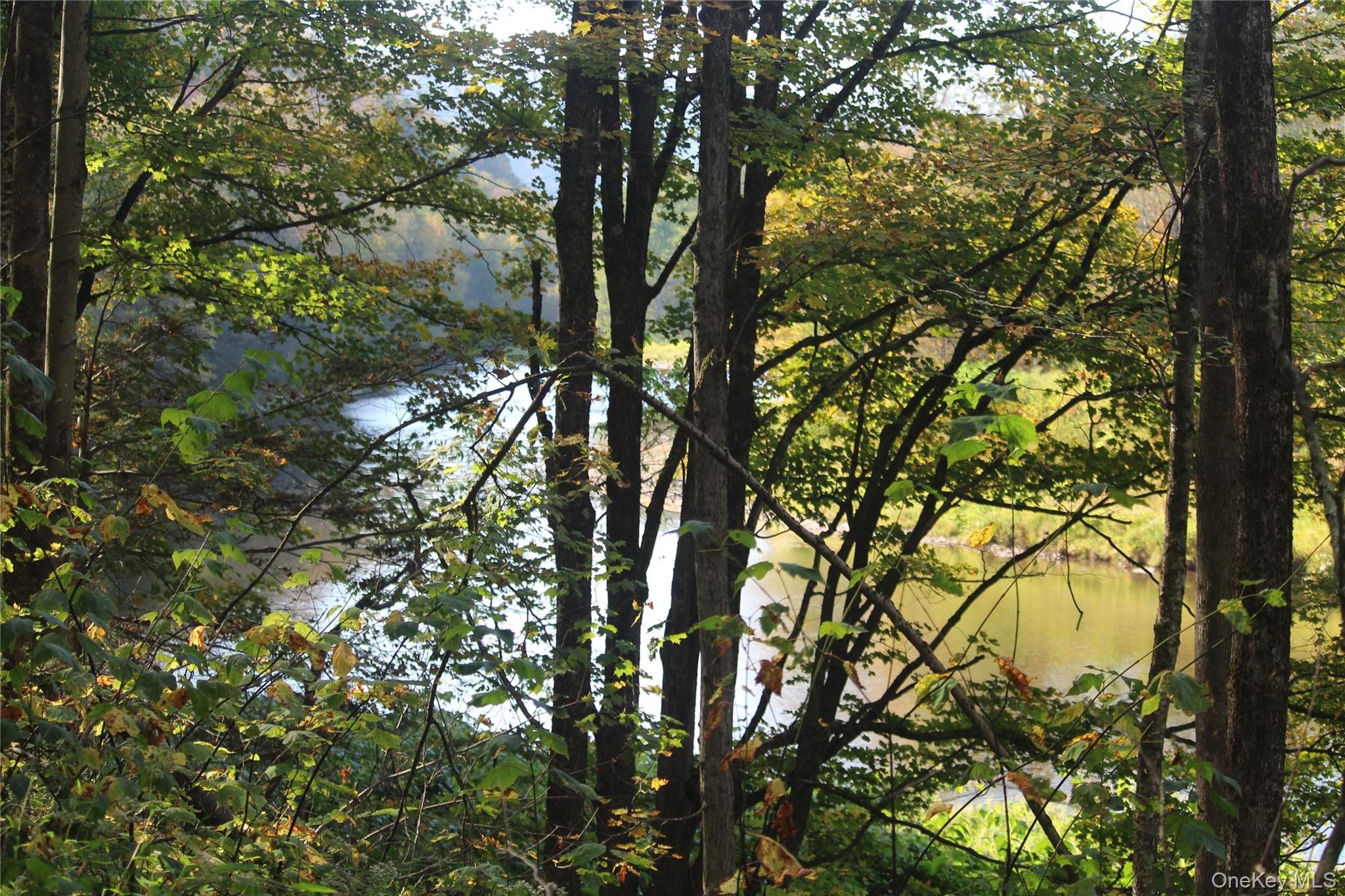 Peakville Road Hancock, NY 13783 - Photo 14 of 25 View of local wilderness
