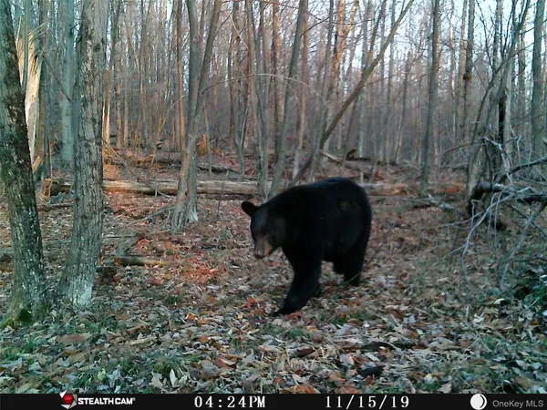 $675,000 | Peakville Road, Hancock, NY 13783