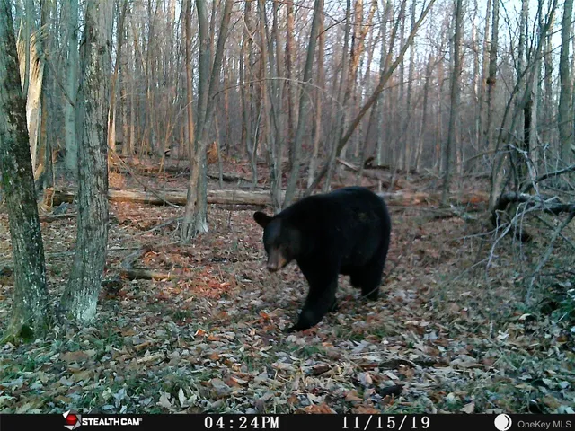 $675,000 | Peakville Road, Hancock, NY 13783