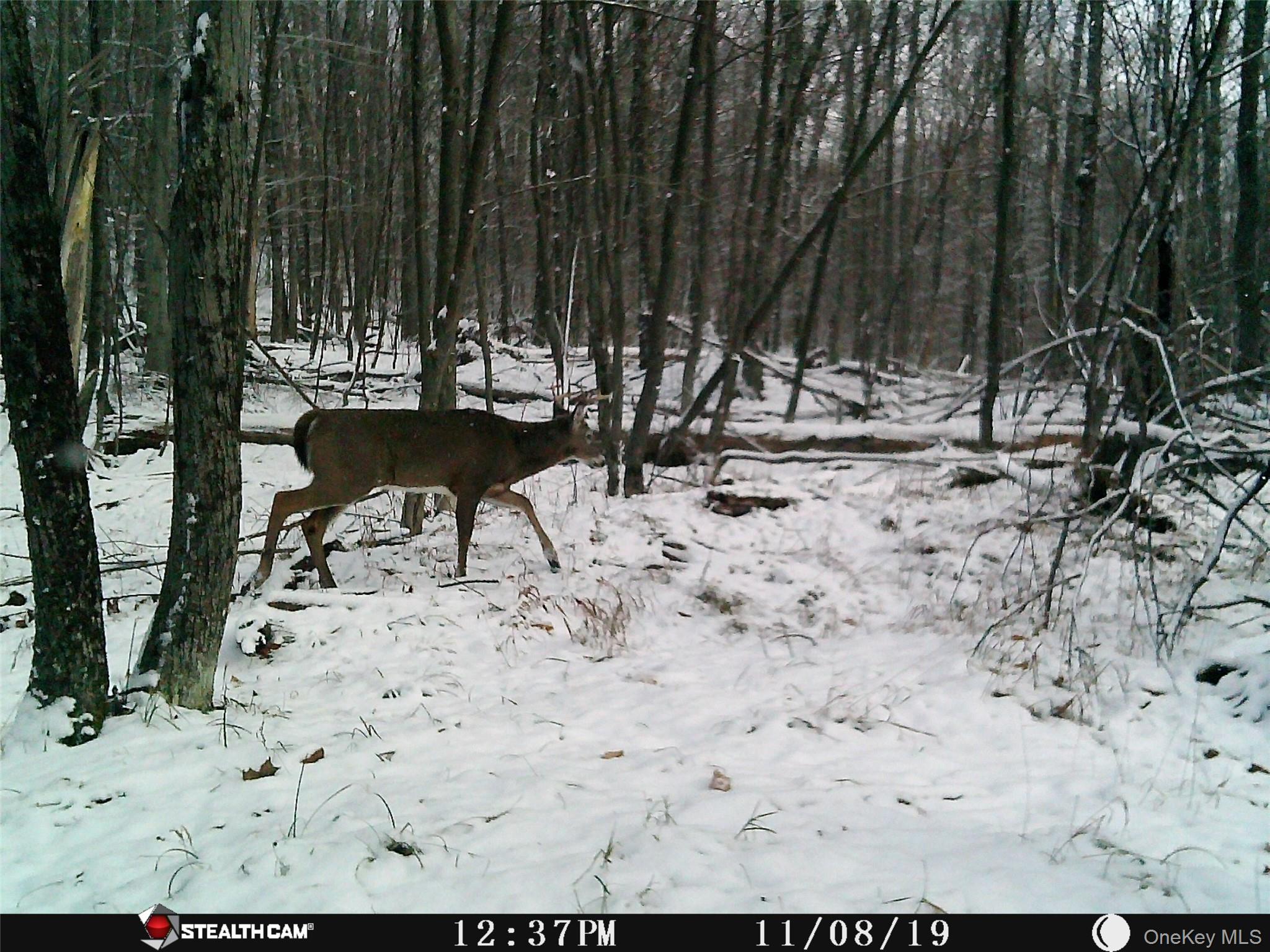 Peakville Road Hancock, NY 13783 - Photo 17 of 25 View of snow covered land