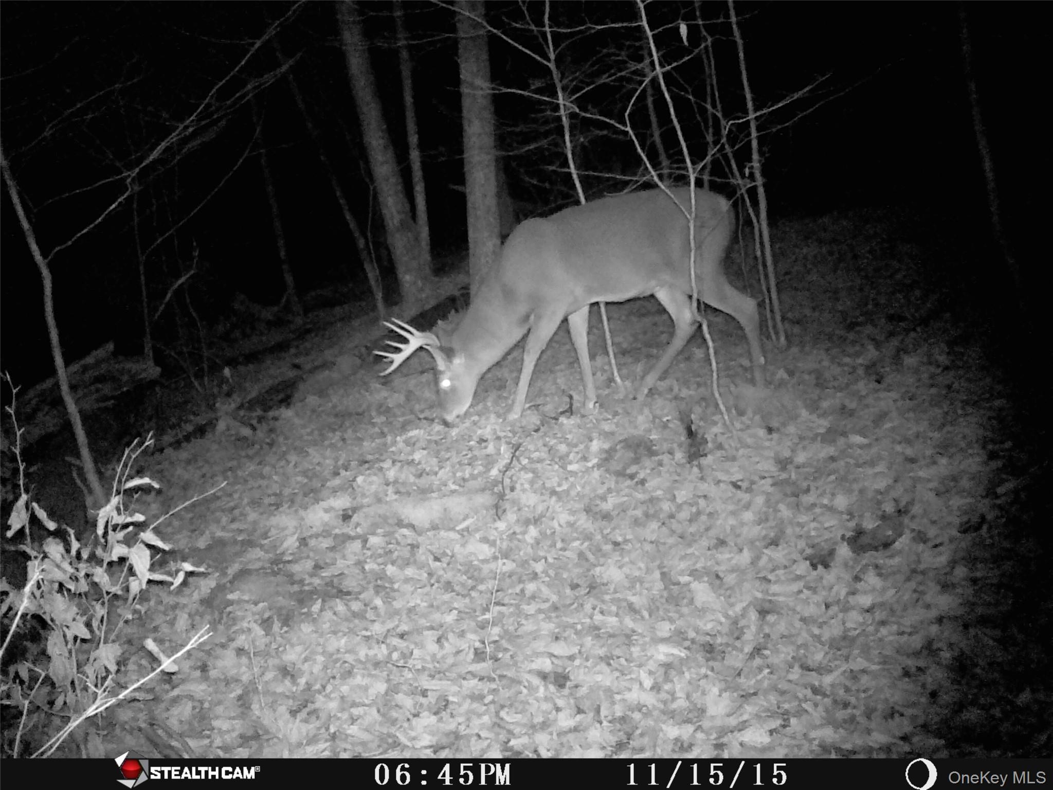 Peakville Road Hancock, NY 13783 - Photo 19 of 25 Exterior view