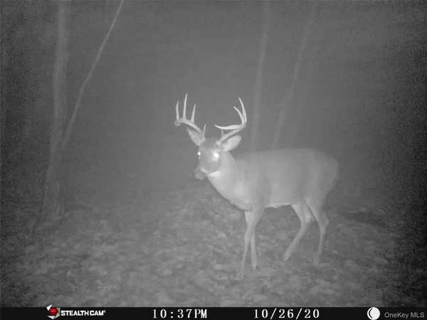 $675,000 | Peakville Road, Hancock, NY 13783