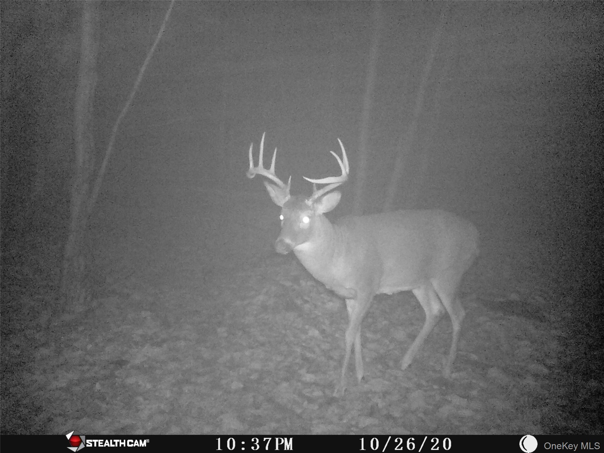 Peakville Road Hancock, NY 13783 - Photo 20 of 25 Exterior view