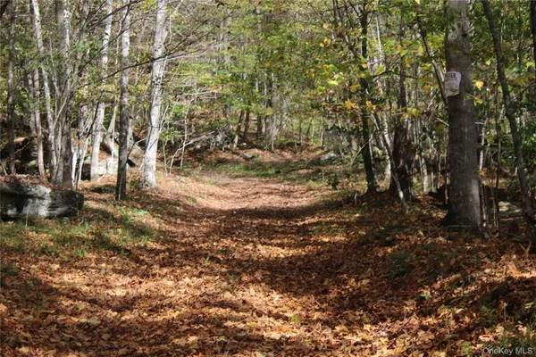 $675,000 | Peakville Road, Hancock, NY 13783