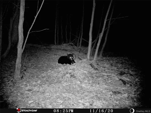 $675,000 | Peakville Road, Hancock, NY 13783