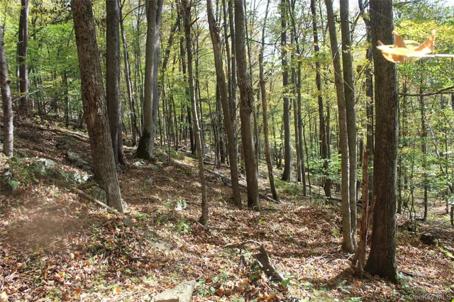 $675,000 | Peakville Road, Hancock, NY 13783