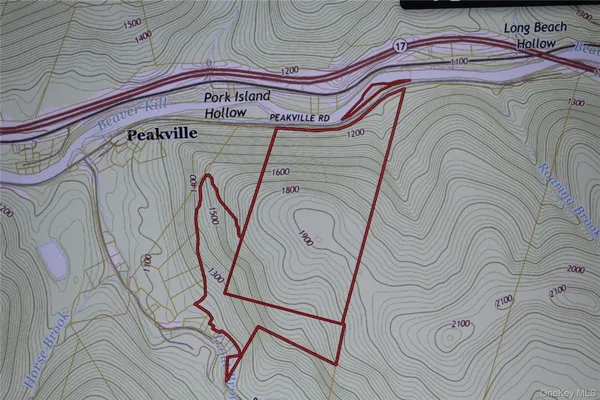 $675,000 | Peakville Road, Hancock, NY 13783