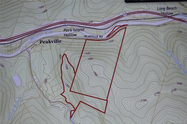 $675,000 | Peakville Road, Hancock, NY 13783