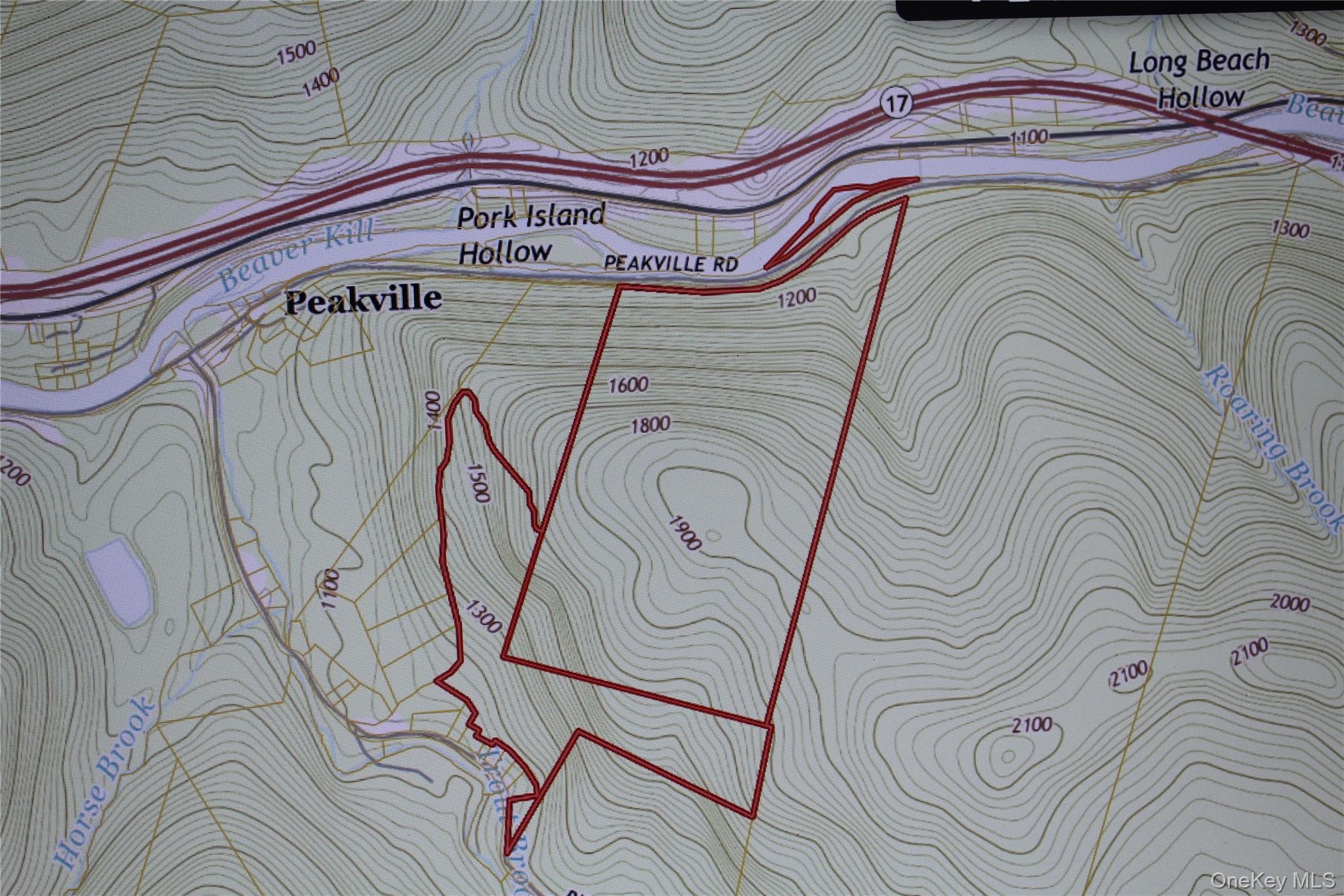 Peakville Road Hancock, NY 13783 - Photo 25 of 25 Map / location