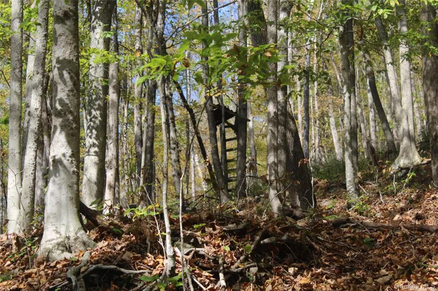 $675,000 | Peakville Road, Hancock, NY 13783