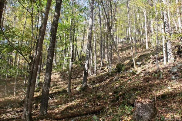 $675,000 | Peakville Road, Hancock, NY 13783