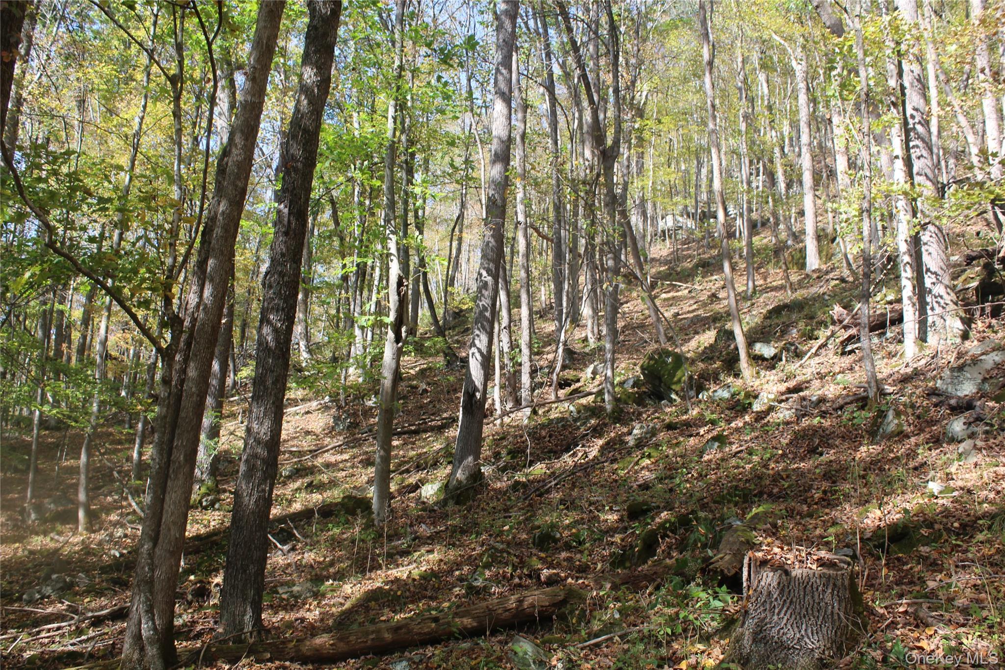 Peakville Road Hancock, NY 13783 - Photo 7 of 25 View of undeveloped land