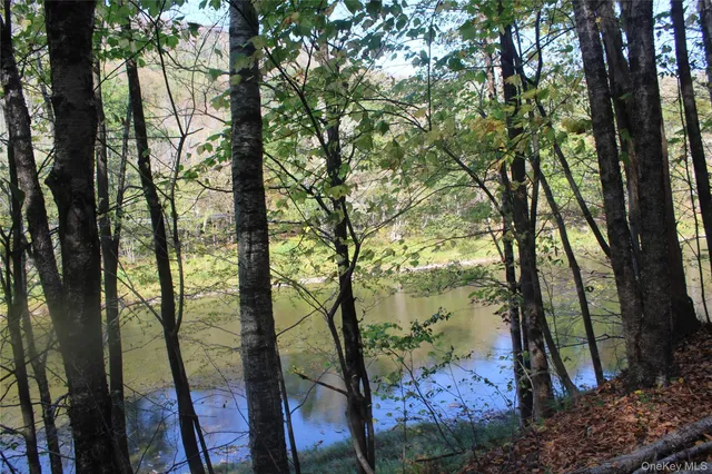 $675,000 | Peakville Road, Hancock, NY 13783