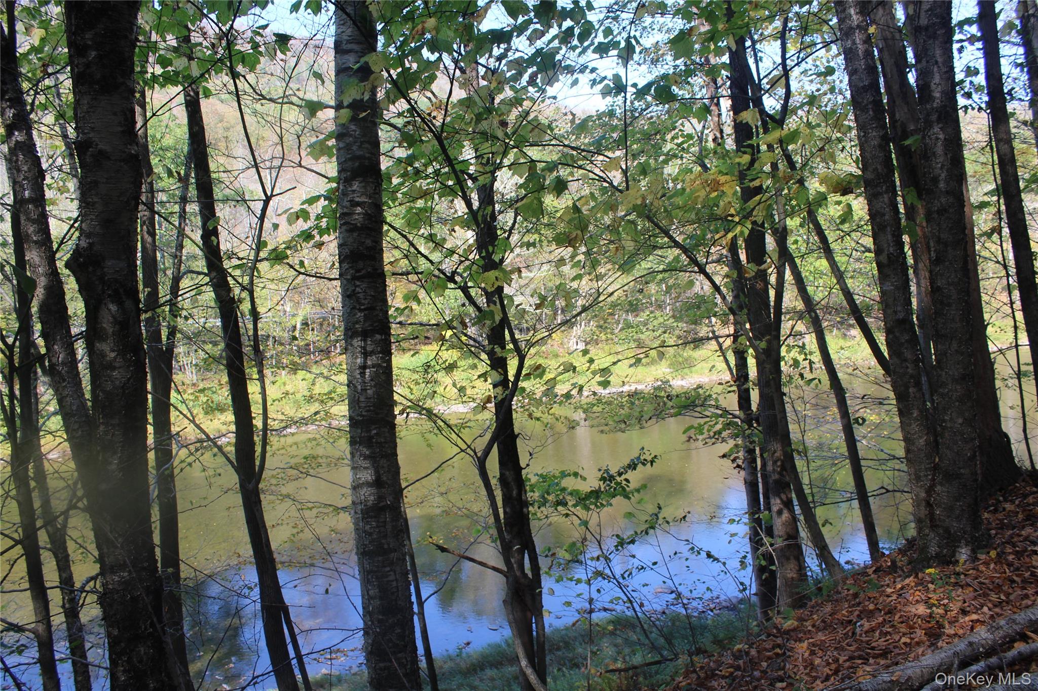 Peakville Road Hancock, NY 13783 - Photo 8 of 25 Water view