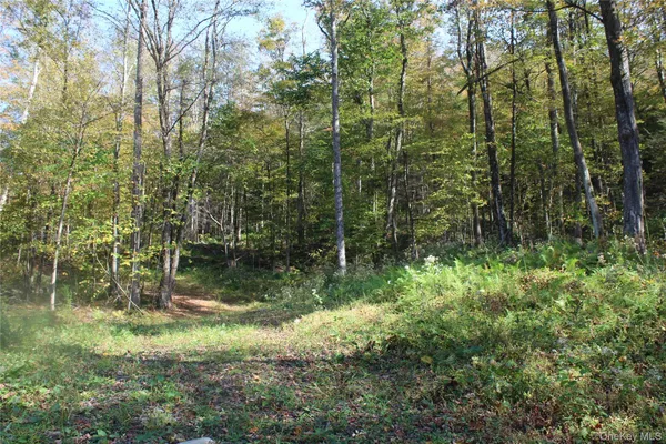 $675,000 | Peakville Road, Hancock, NY 13783