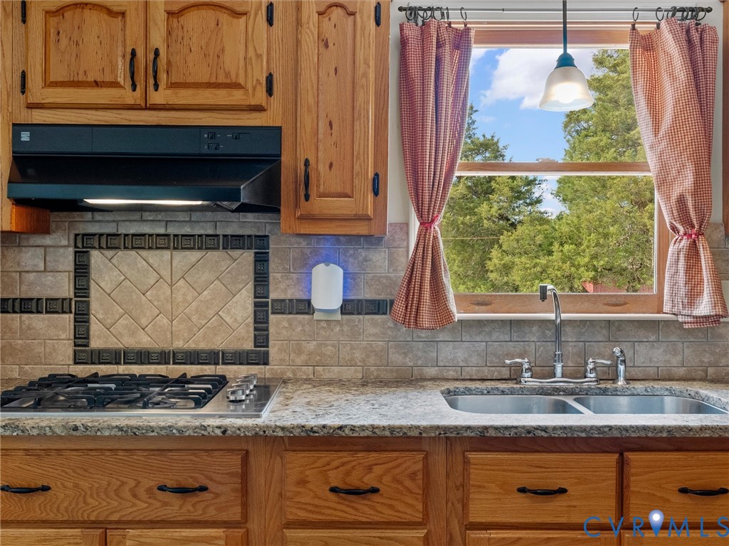 218 Deer Run Road Blackstone, VA 23824 - Photo 43 of 81