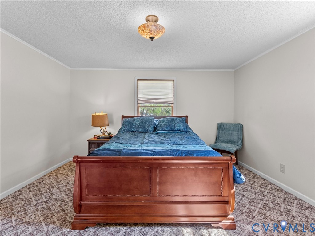 218 Deer Run Road Blackstone, VA 23824 - Photo 47 of 81