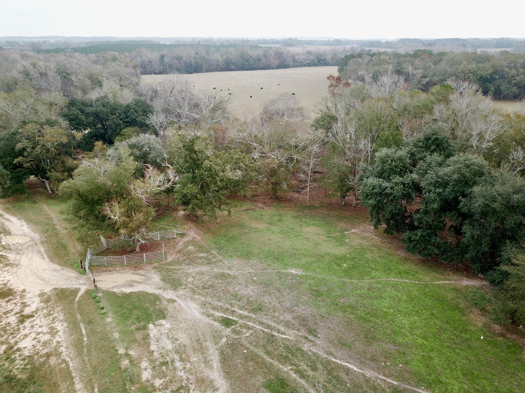 3161 Cedar Springs Road Ashford, AL 36312 - Photo 5 of 16