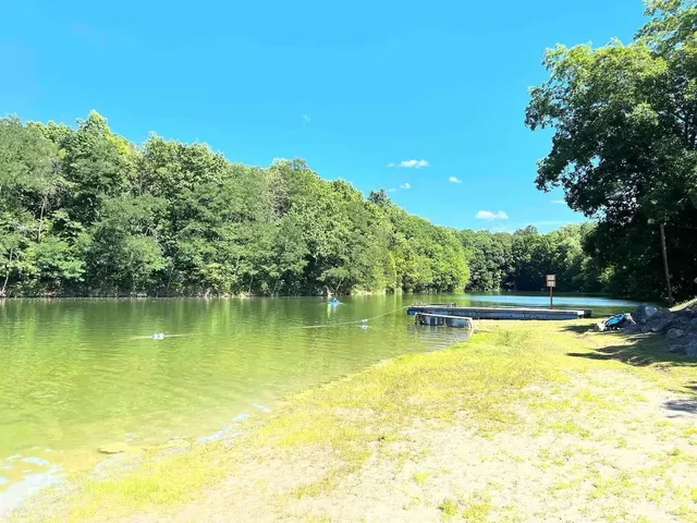 a view of a swimming pool with lounge chair