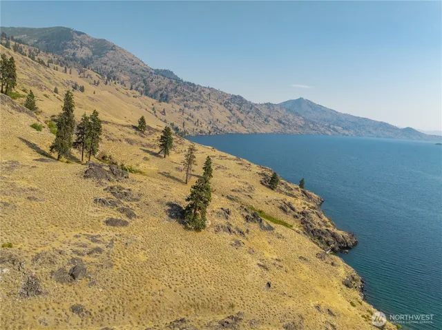 a view of wooden floor
