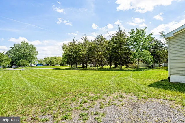 a view of grassy field with benches