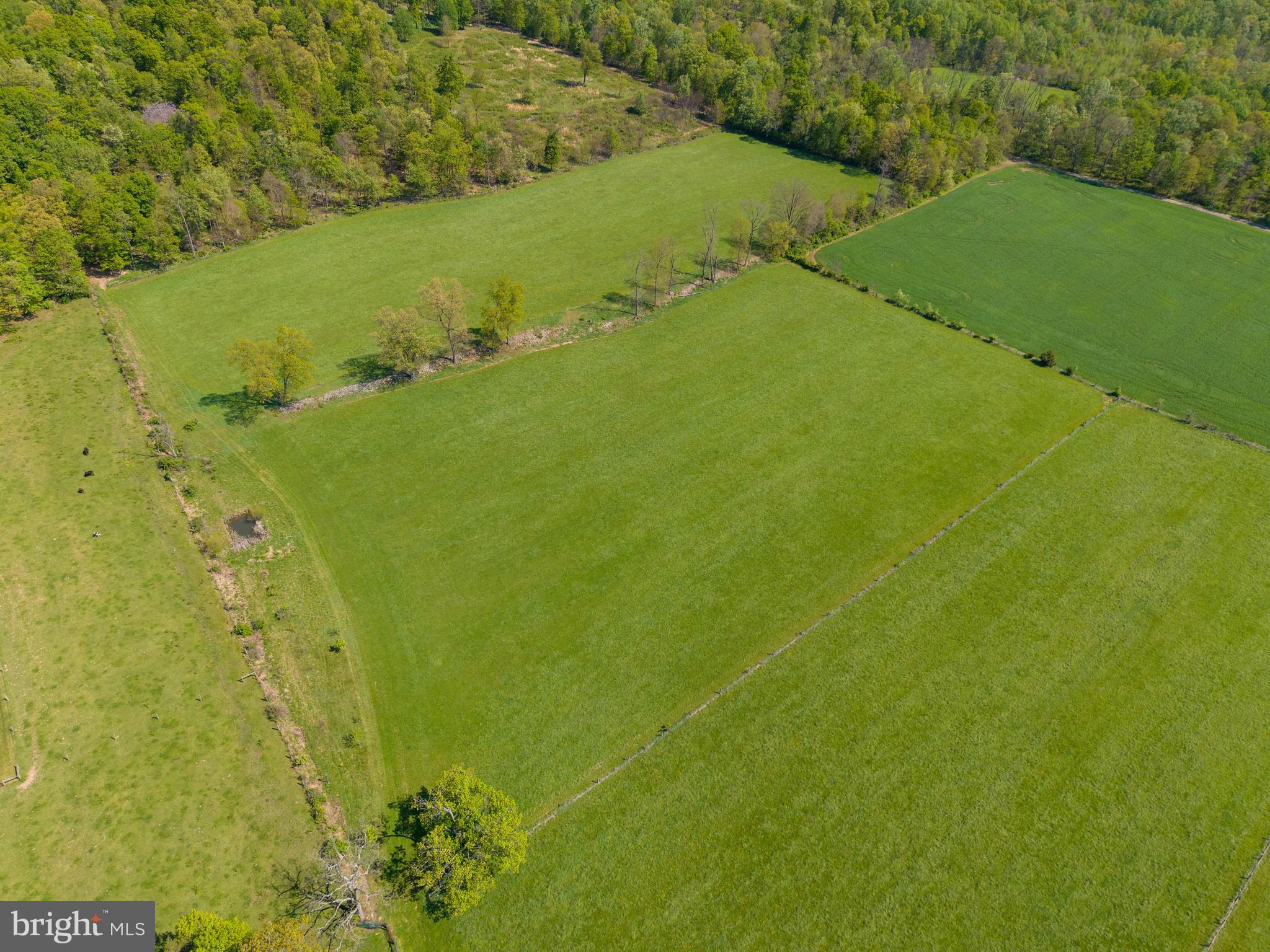215 Droneberger Road Blain, PA 17006 - Photo 11 of 81
