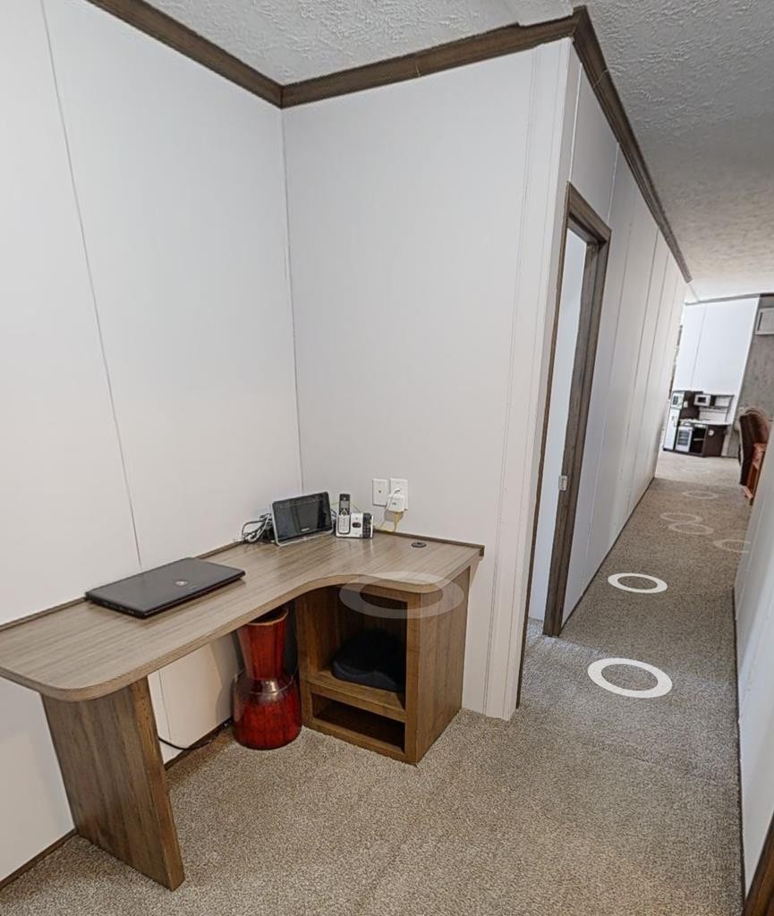 5009 Mathis Branch Road Cosby, TN 37722 - Photo 8 of 21 Gallery Image 8