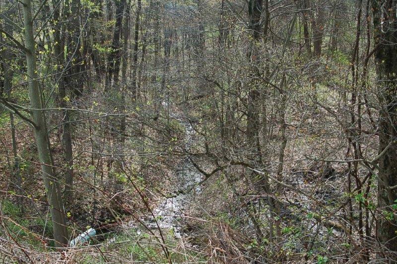 4561 Ridge Road Southwest Stone Creek, OH 43840 - Photo 23 of 23 Gallery Image 23