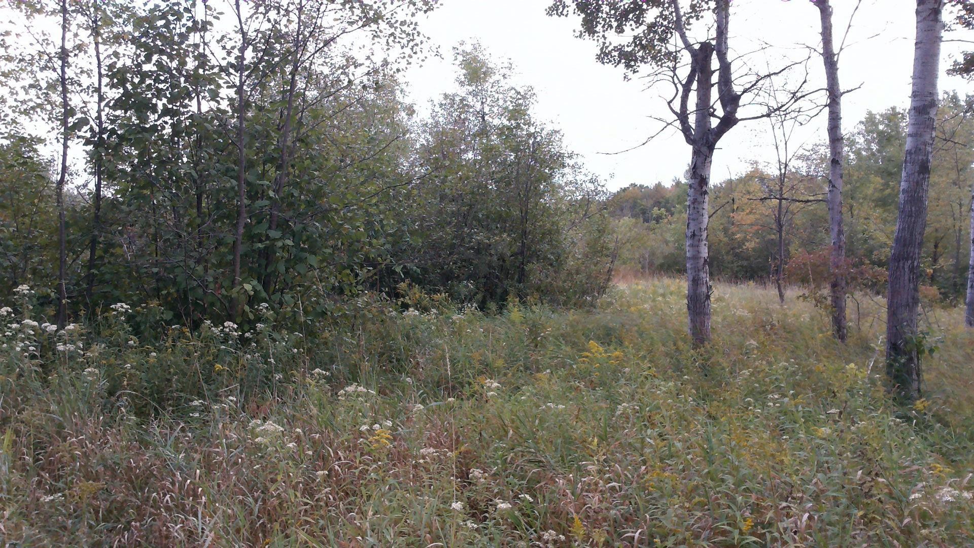 1950 North Alamando Road Coleman, MI 48618 - Photo 9 of 13