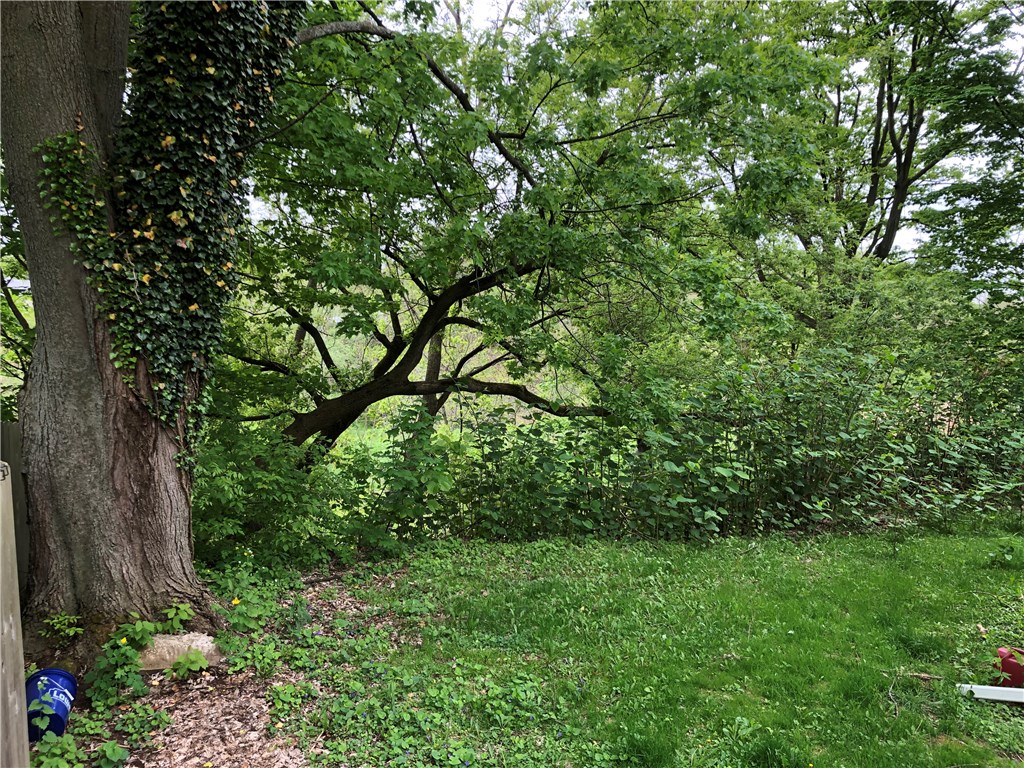 7357 Owasco Road Owasco, NY 13021 - Photo 8 of 19