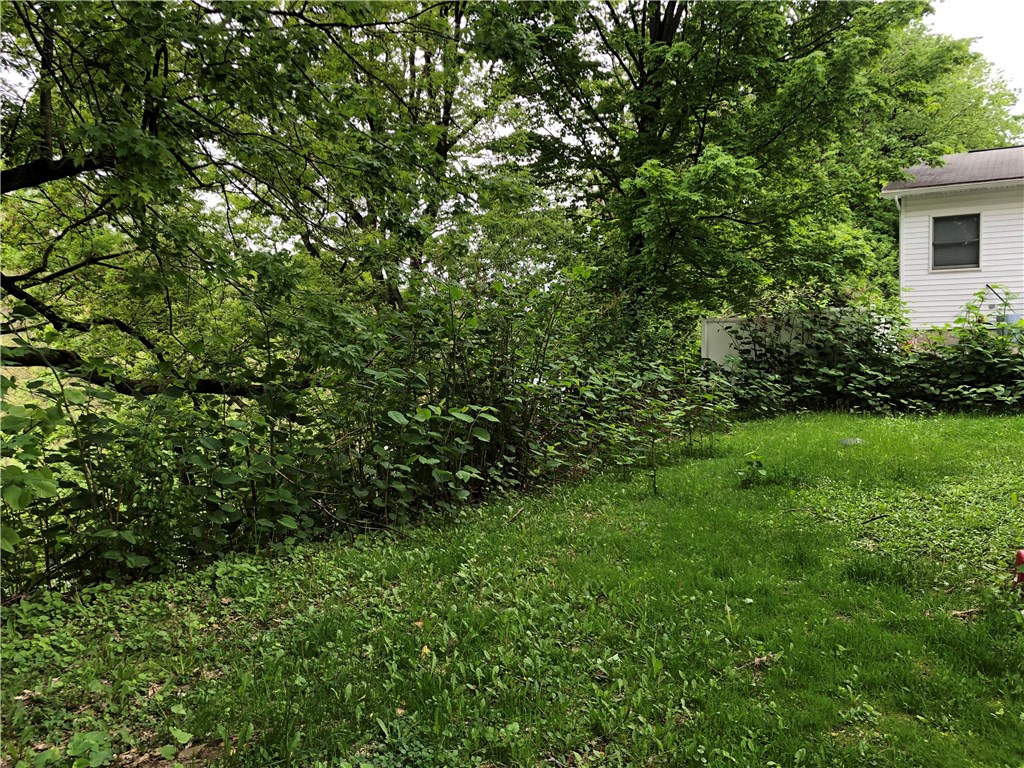 7357 Owasco Road Owasco, NY 13021 - Photo 10 of 19