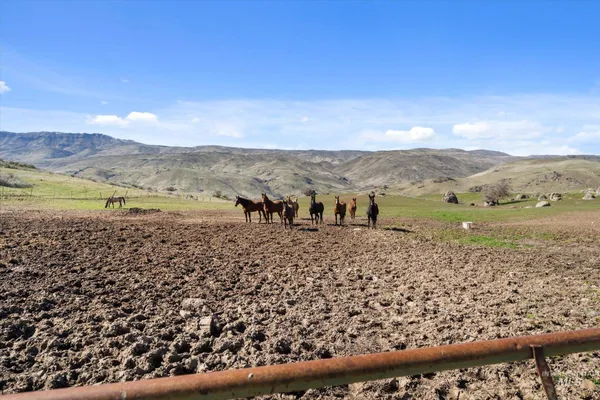 $6,399,999 | 11555 Liberty Road, Sweet, ID 83670