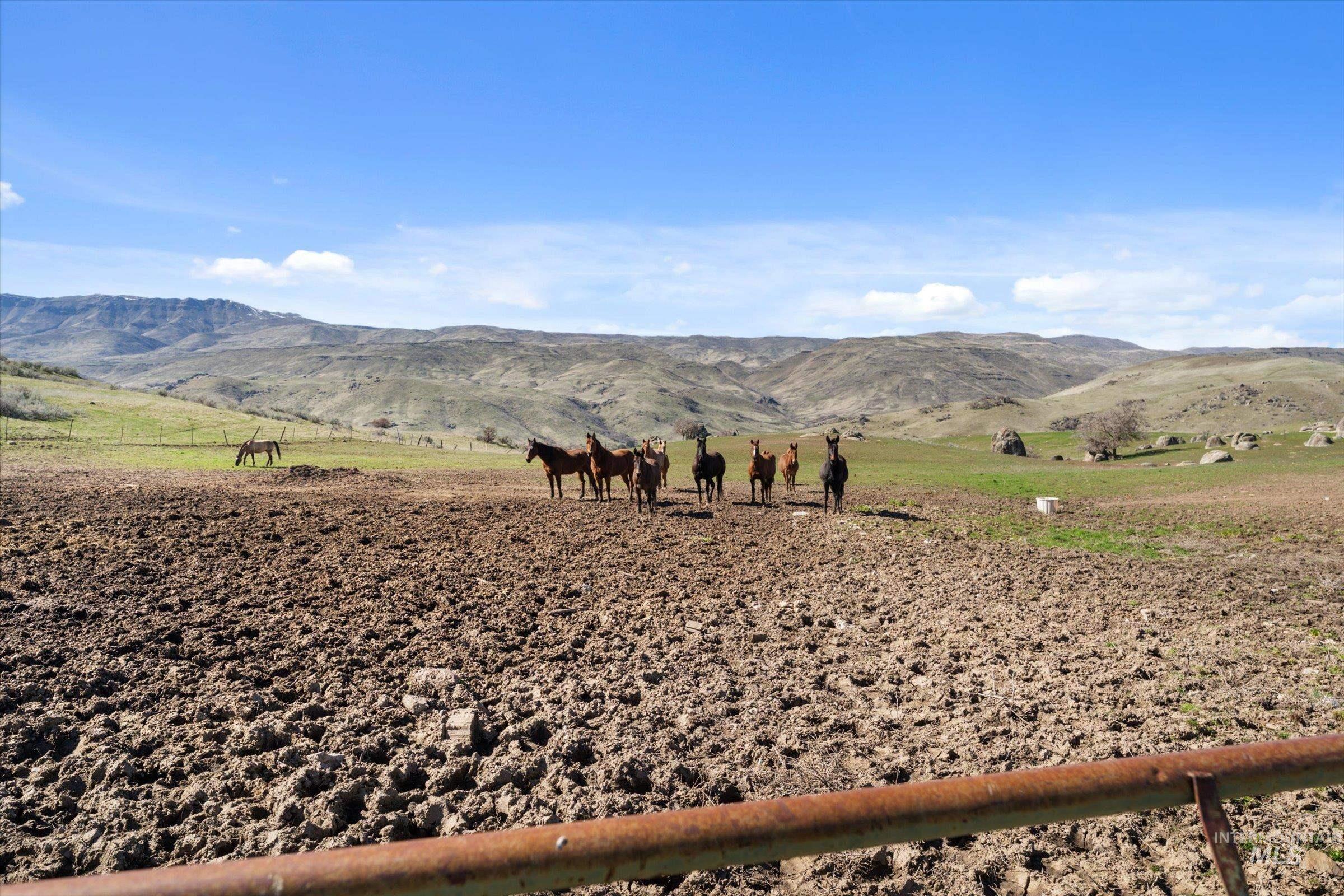 11555 Liberty Road Sweet, ID 83670 - Photo 22 of 49 View of mountain backdrop with rural landscape and agricultural land