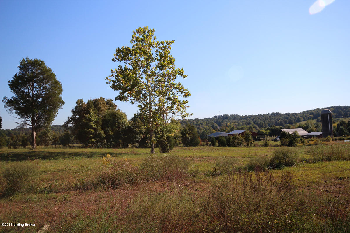 4180 Peonia Road Clarkson, KY 42726 - Photo 13 of 14 4180 Peonia Rd 9