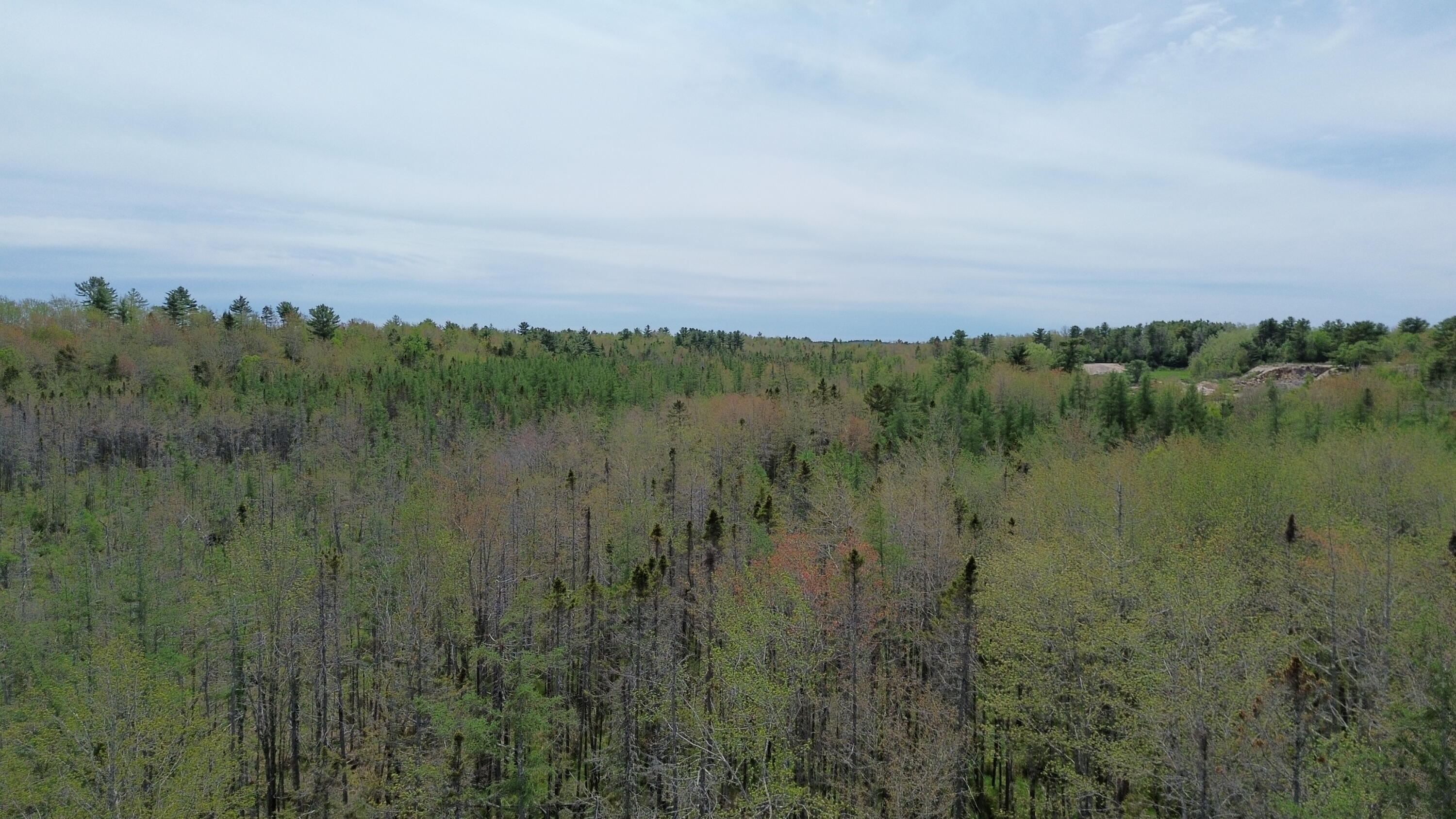 365 Cushing Road Cushing, ME 04563 - Photo 26 of 32 67
