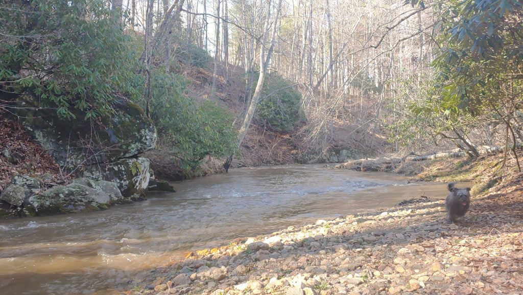 Tbd Falling Branch Road Northwest Floyd, VA 24091 - Photo 14 of 27 Gallery Image 14