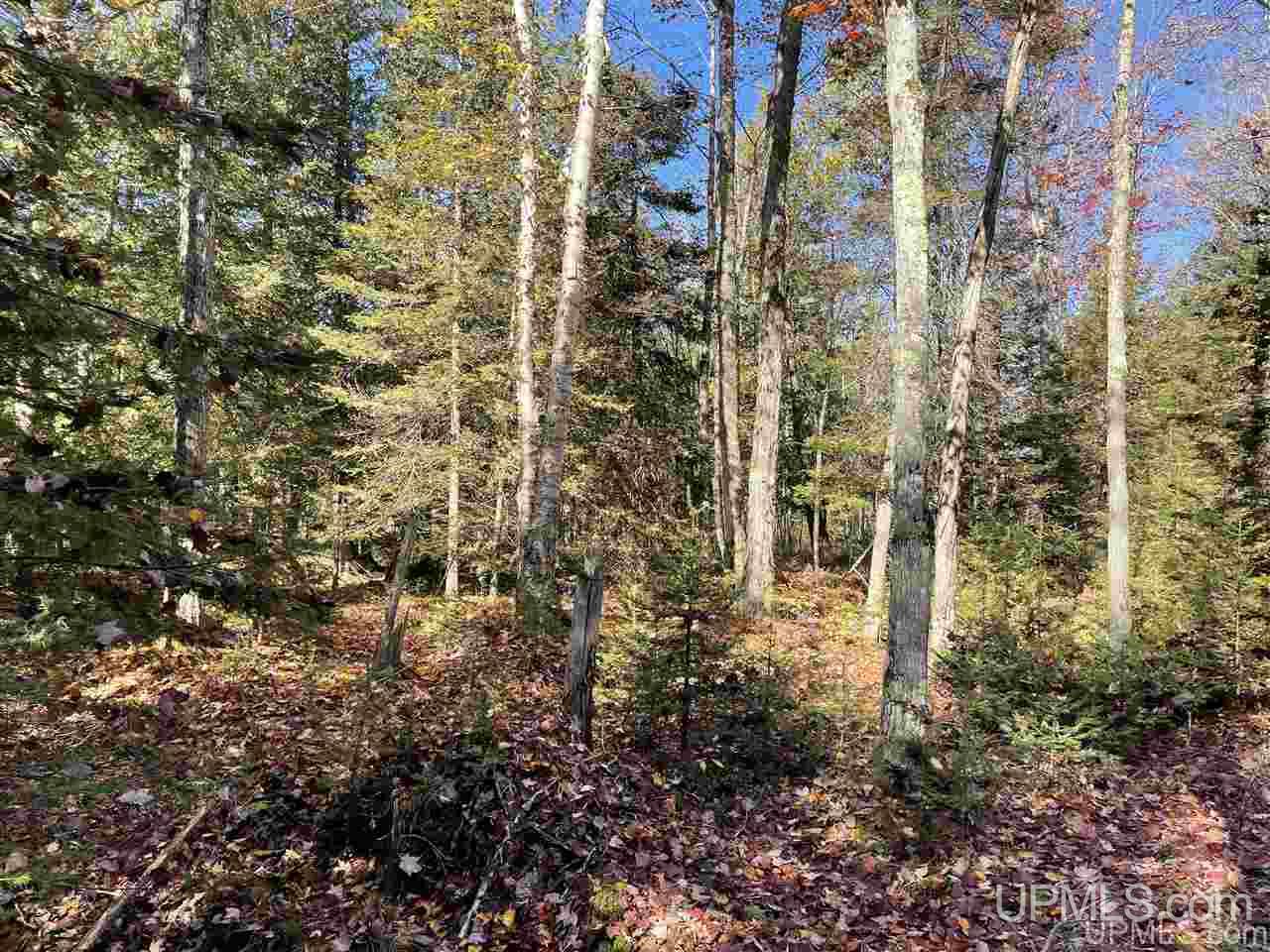 13996 Evergreen Road Rock, MI 49880 - Photo 24 of 47 Gallery Image 24