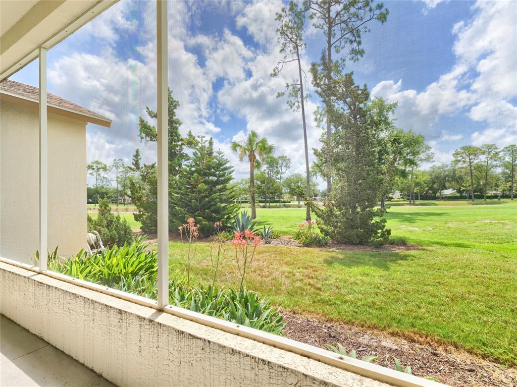 11228 Windrush Circle Hudson, FL 34667 - Photo 15 of 67 a view of a house with a yard and a tree