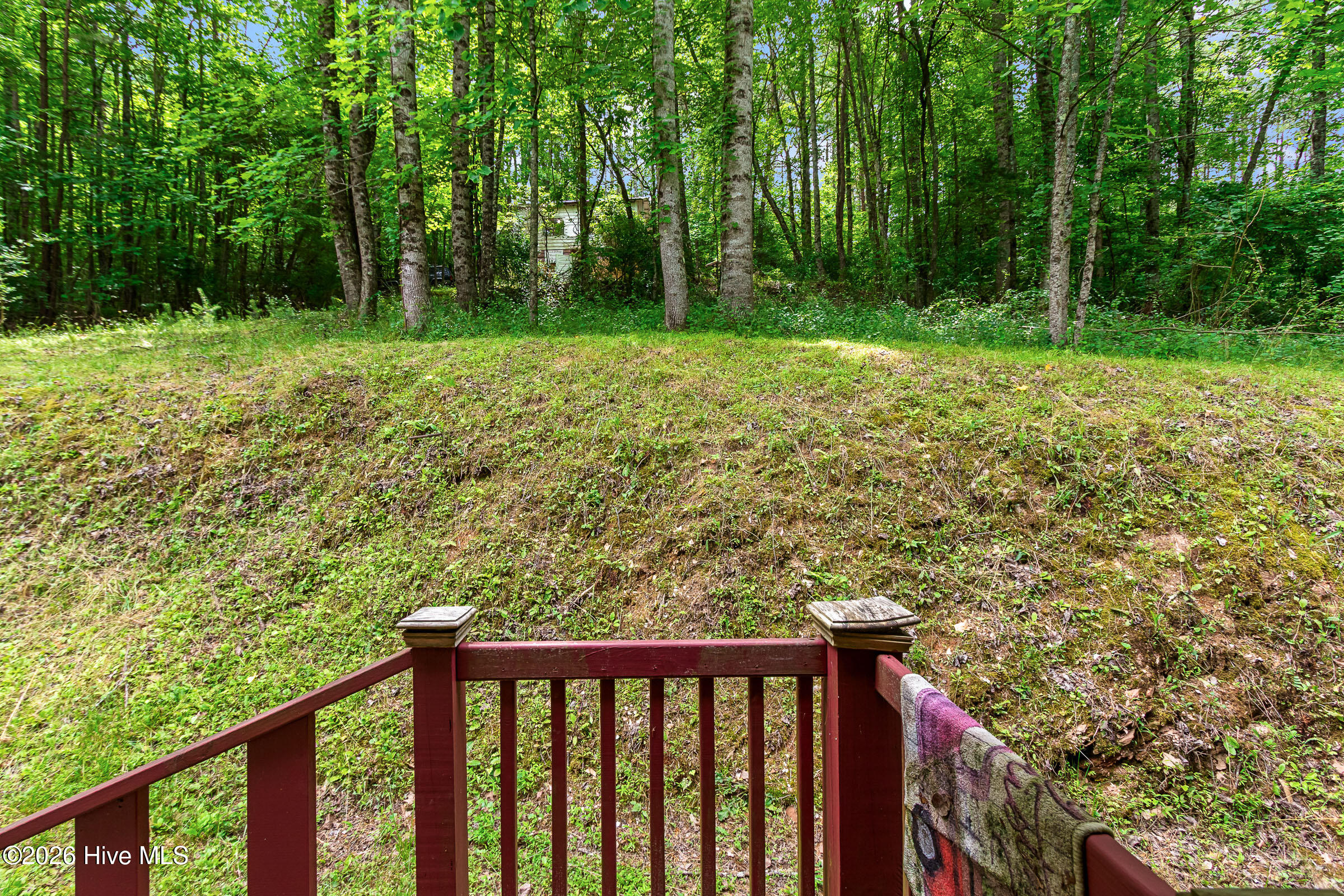 60 Fleming Street Murphy, NC 28906 - Photo 23 of 50